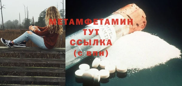 ПСИЛОЦИБИНОВЫЕ ГРИБЫ Богданович