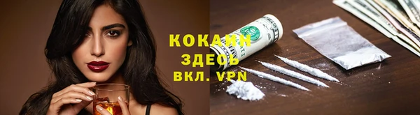 прущие грибы Бородино