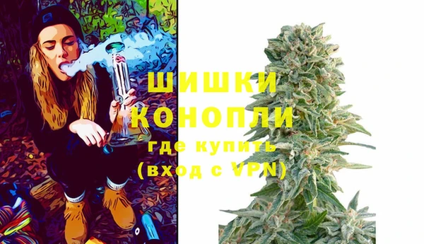 прущие грибы Бородино