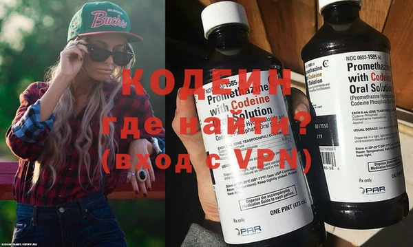 прущие грибы Бородино