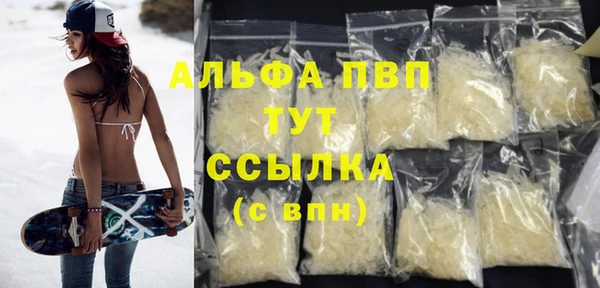 прущие грибы Бородино