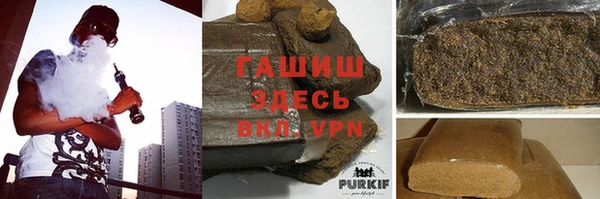 прущие грибы Бородино