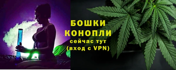 прущие грибы Бородино